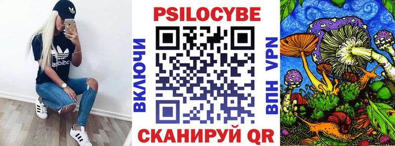 Галлюциногенные грибы Psilocybine cubensis  Купить где  Рязань 